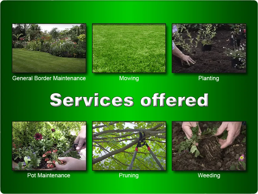Gardening services offered by Catherine Wilburn